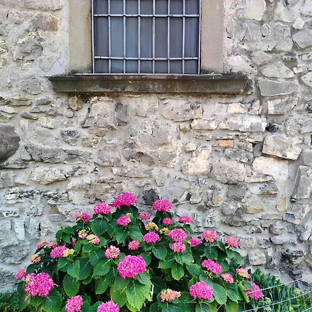 アパート Stone House *