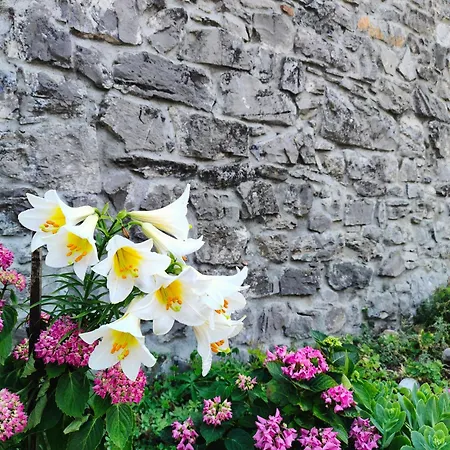 Stone House *